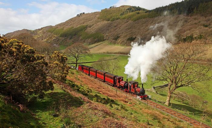 The two original loco's 'Talyllyn' and 'Dolgoch' dating from 1865 and 1866, pull the original carriages up the valley towards Abergynolwyn.  Pic Ralph